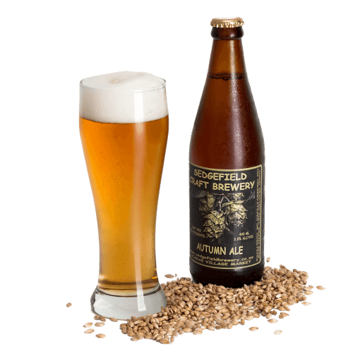 pivo-svetle.png