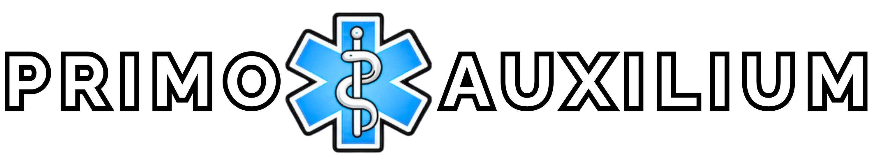 nowe logo.png
