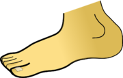 foot-g9623efa9b_1280.png foot-g9623efa9b_1280.png